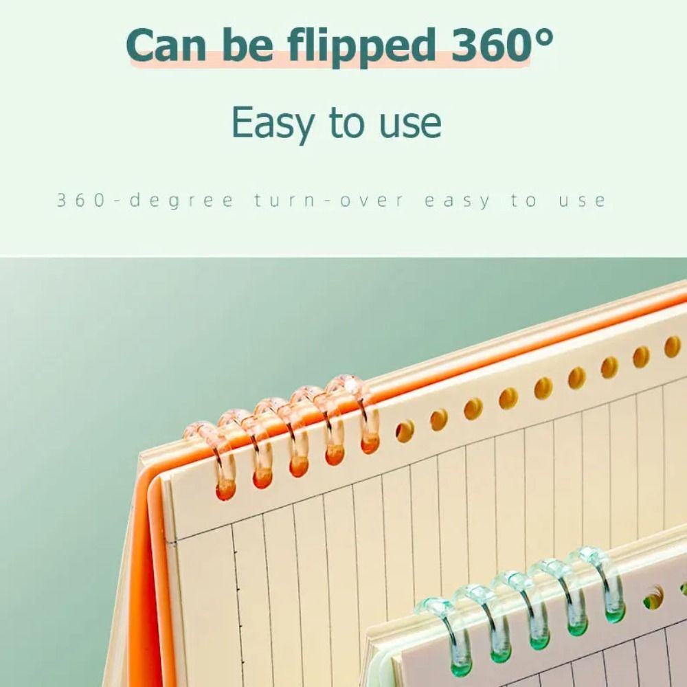 4 Fundas de PP para Libros de  - Binder A4 Lever reseña y precio