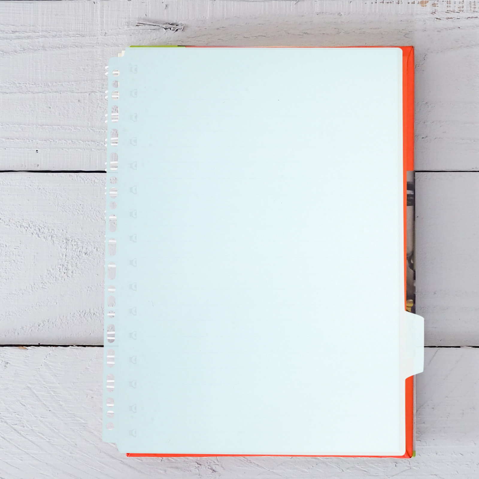 6 separadores de carpetas con  - Tab Divider A4 reseña y precio
